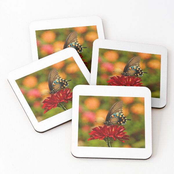 Item preview, Summer Dreamin designed and sold by Brenda Burnett.