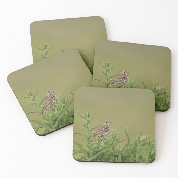 Item preview, Skylarks rest designed and sold by miradorpictures.