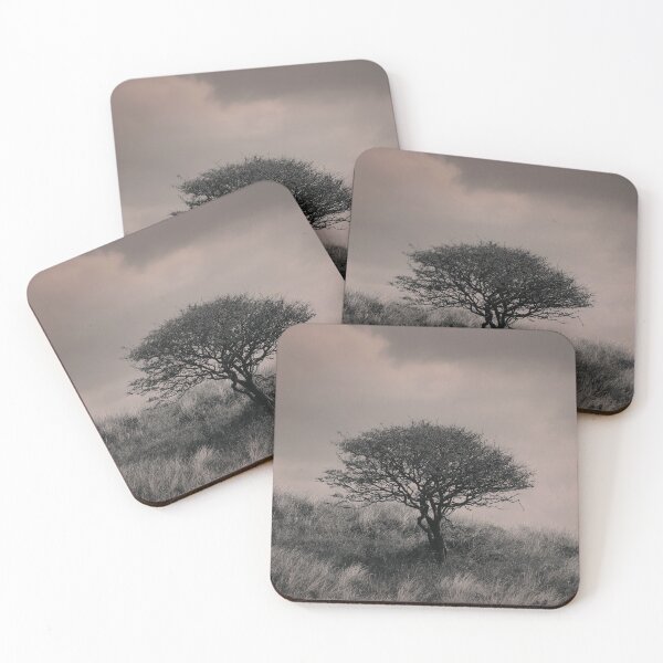 Item preview, The lonely tree designed and sold by miradorpictures.