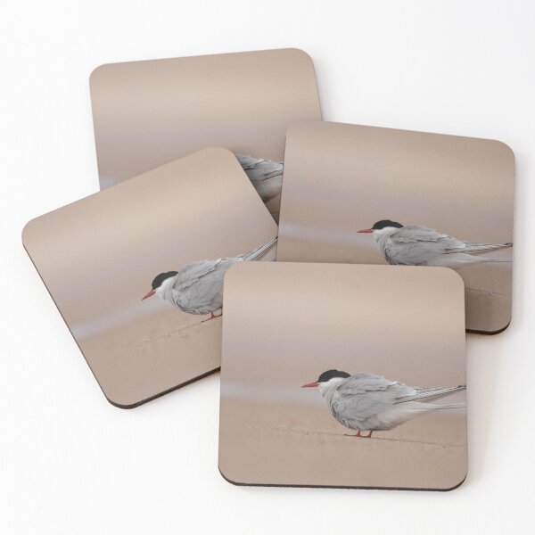 Item preview, Arctic tern  designed and sold by miradorpictures.