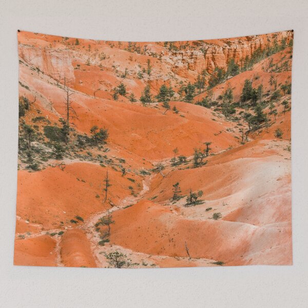 Artikelvorschau, Bryce Canyon Hoodoos-Landschaft auf Queens Garden Trail entworfen und verkauft von Chee Sim.