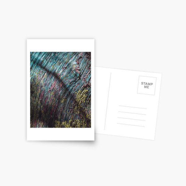Cedar Postcard