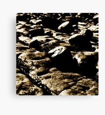 Jurassic Canvas Print