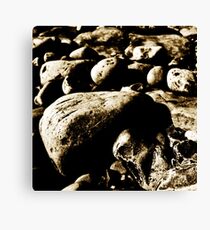 Jurassic Canvas Print
