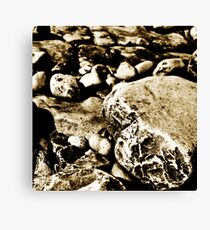 Jurassic Canvas Print