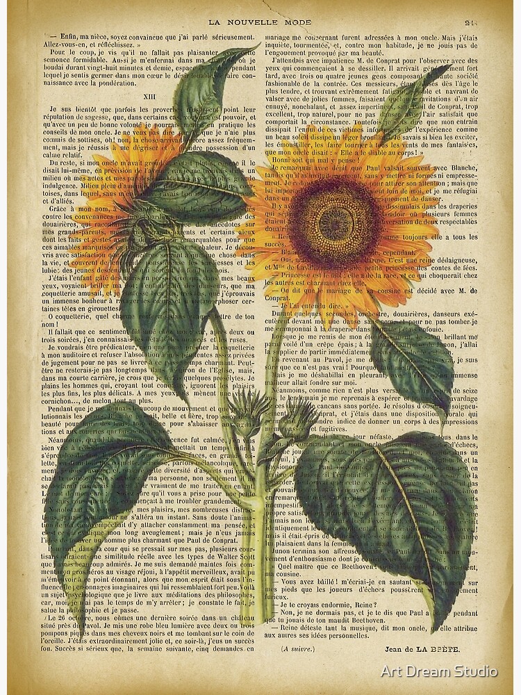 Botanical print, on old book page - garden flowers Tapestry for Sale by  Art Dream Studio