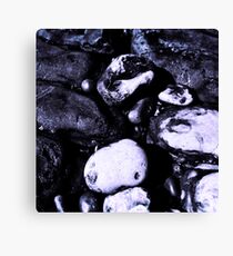 Jurassic Canvas Print