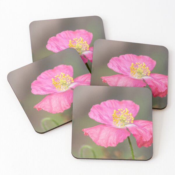 Item preview, Shirley Poppy 2019-4 designed and sold by Thomasyoung.