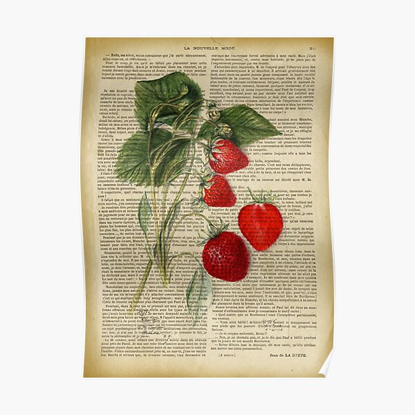 Botanical print, on old book page - strawberry Poster