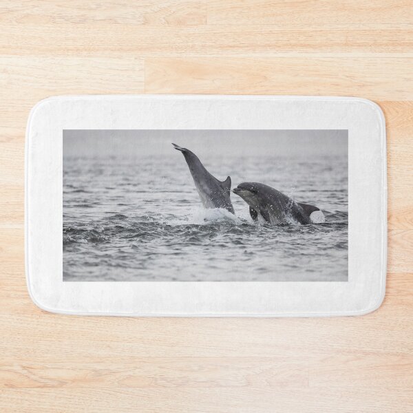 Item preview, Playful wild bottlenose dolphins designed and sold by chanonry.