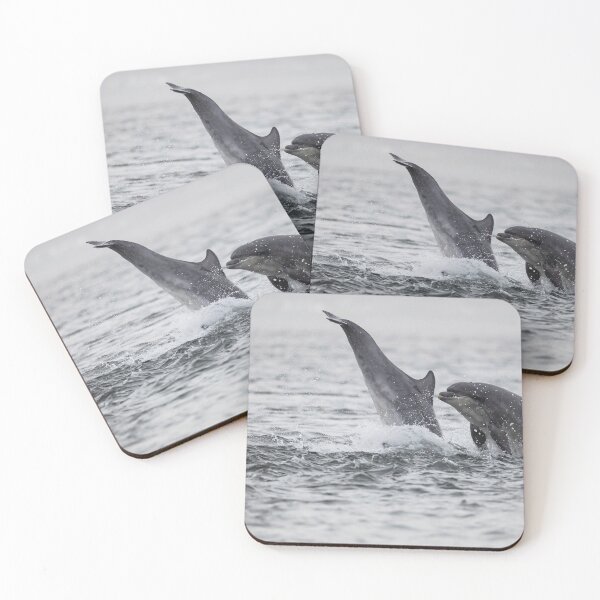 Item preview, Playful wild bottlenose dolphins designed and sold by chanonry.