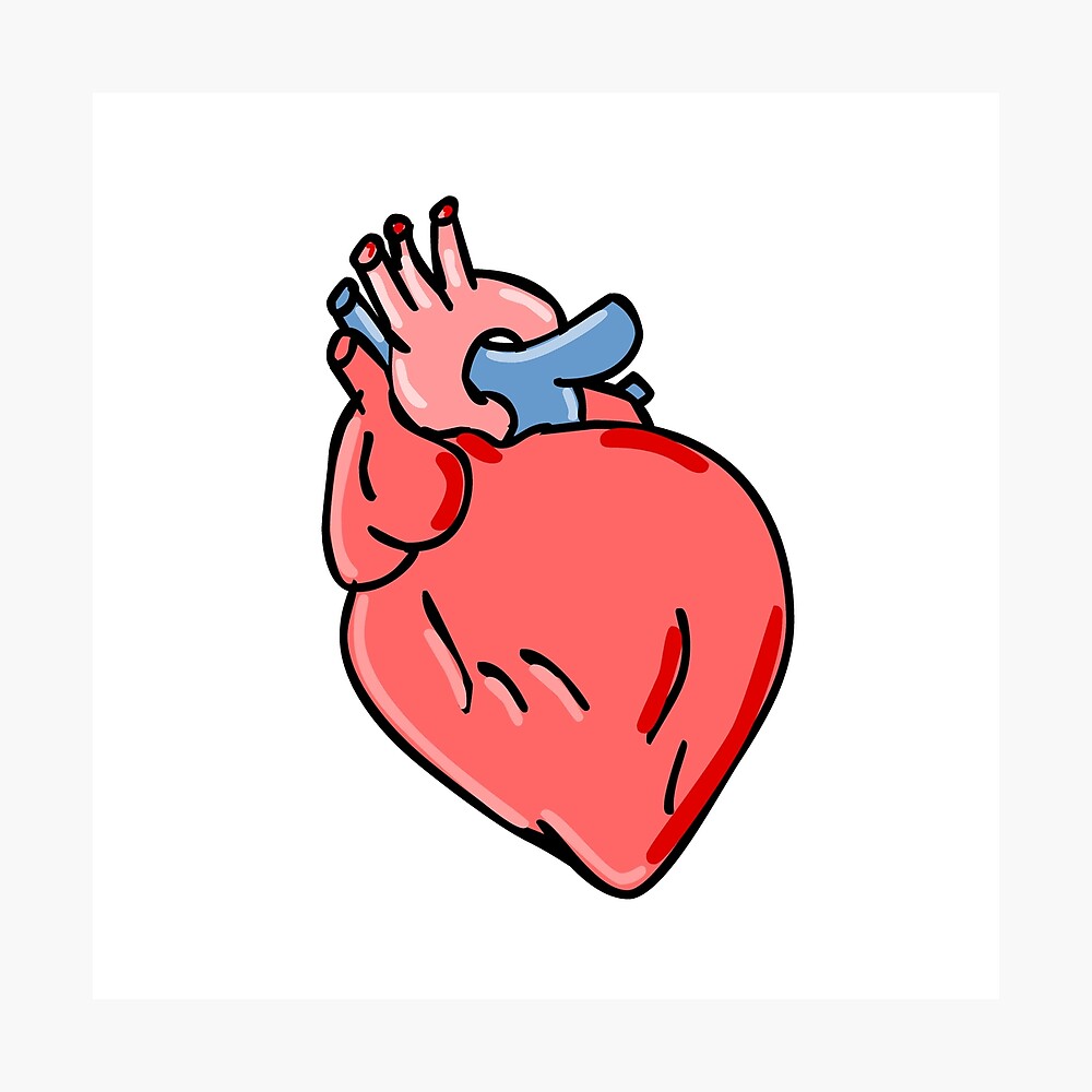 Human Heart Cartoon Poster for Sale by patrimonio | Redbubble