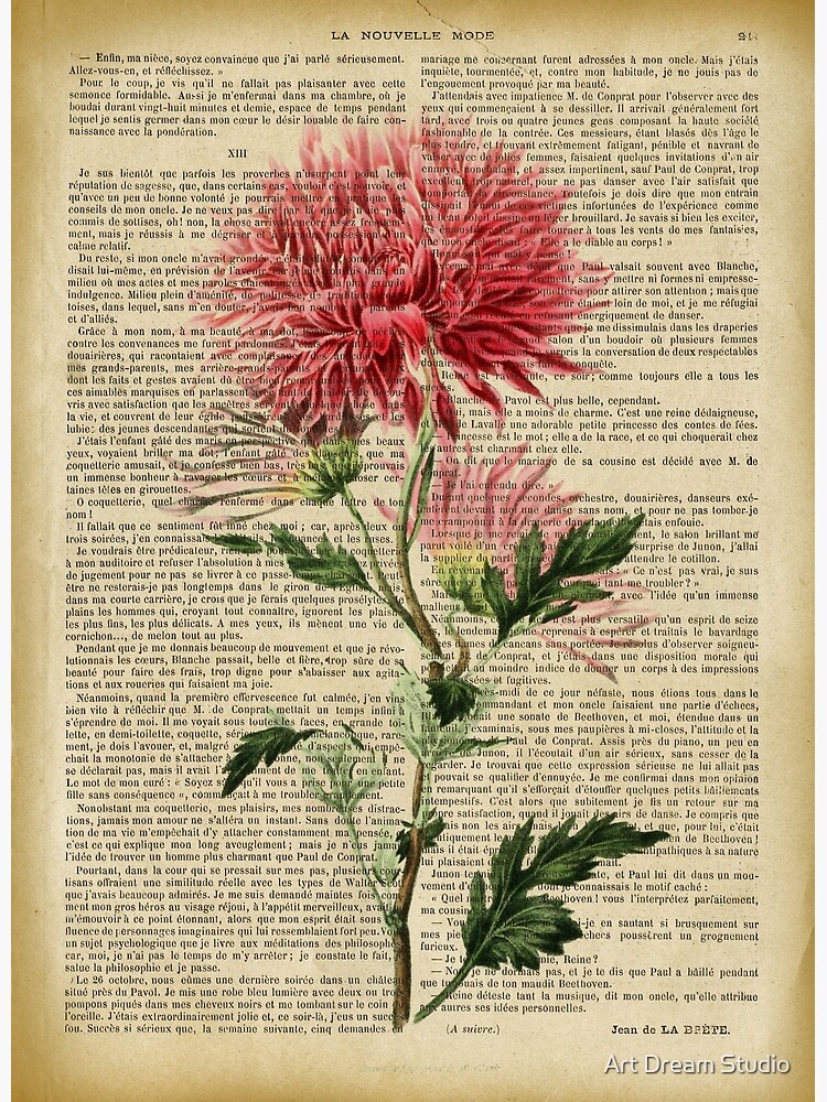 botanical-print-on-old-book-page-aster-poster-for-sale-by-lldd11