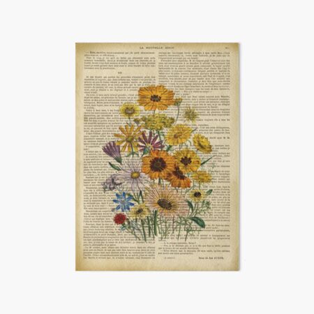 Botanical print, on old book page - Garden flowers Art Board Print