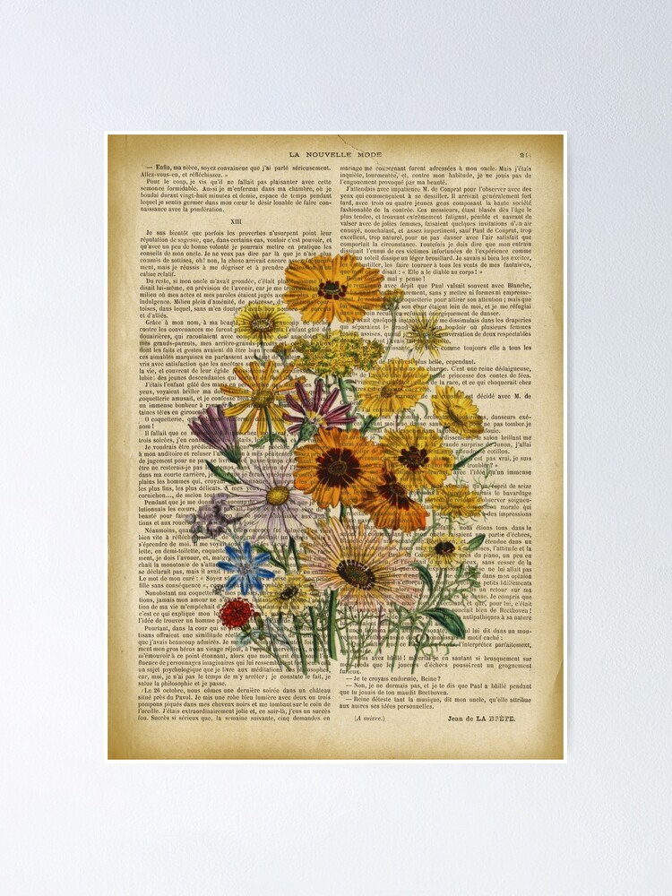 Botanical print, on old book page - Garden flowers | Poster