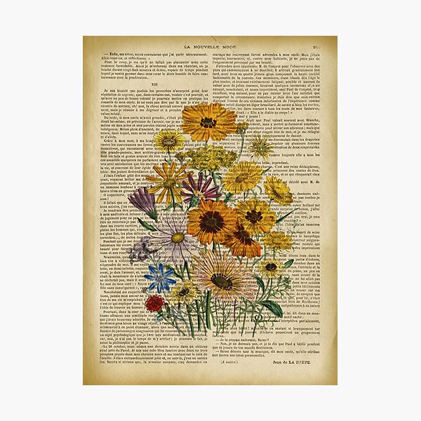 Botanical print, on old book page - Garden flowers Photographic Print