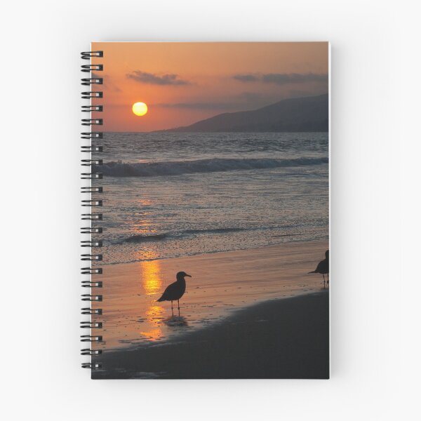 Item preview, Heermann’s gull at sunset on Zuma beach.  designed and sold by RichardGibb.