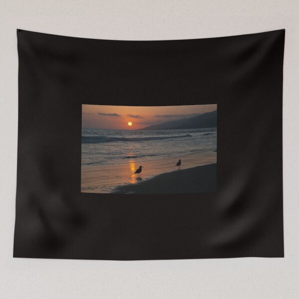 Item preview, Heermann’s gull at sunset on Zuma beach.  designed and sold by RichardGibb.