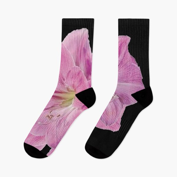 Item preview, PINK AMARYLLIS FLOWERS  MODERN BLACK ABSTRACT  ART designed and sold by sharlesart.