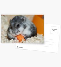 Nibbling Postcards
