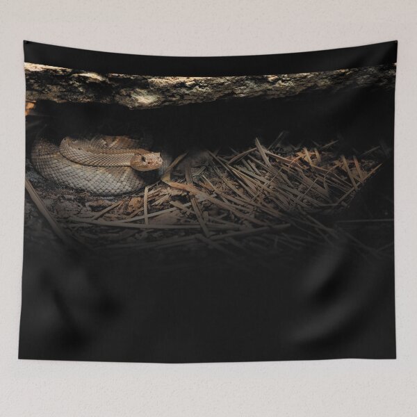 Item preview, Rattler Den designed and sold by KbytesOfJax Outdoor and Nature.