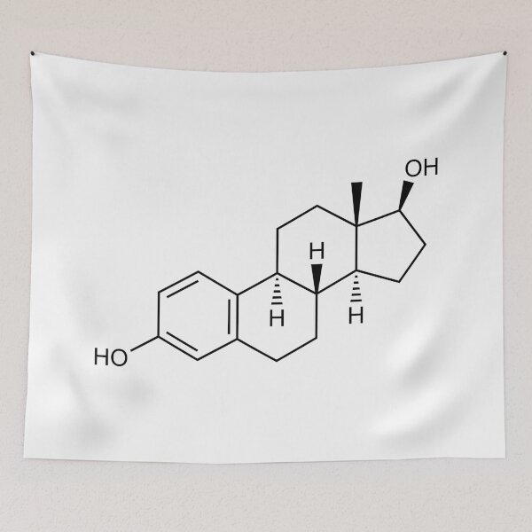 Item preview, Estradiol (Estrogen) Structural Formula designed and sold by GillyTheGhillie.