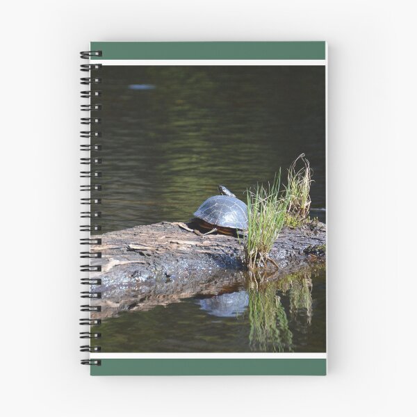 Item preview, Painted Turtle sees you designed and sold by LizardSpirit.