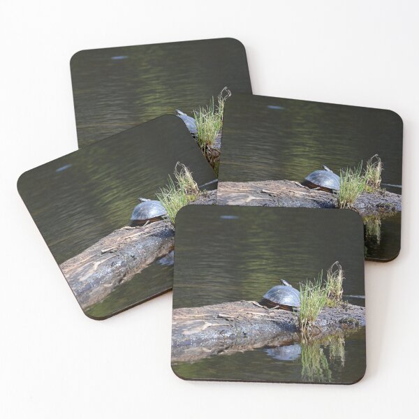 Item preview, Painted Turtle sees you designed and sold by LizardSpirit.
