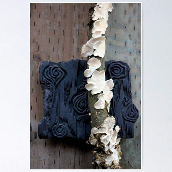 Item preview, Woodworks designed and sold by Michael May.