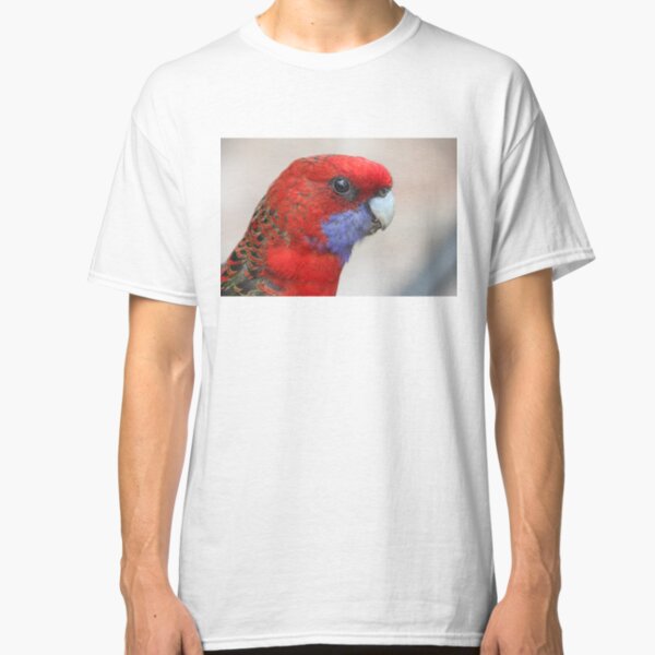 Beautiful Crimson Rosella at Green Patch, NSW Classic T-Shirt