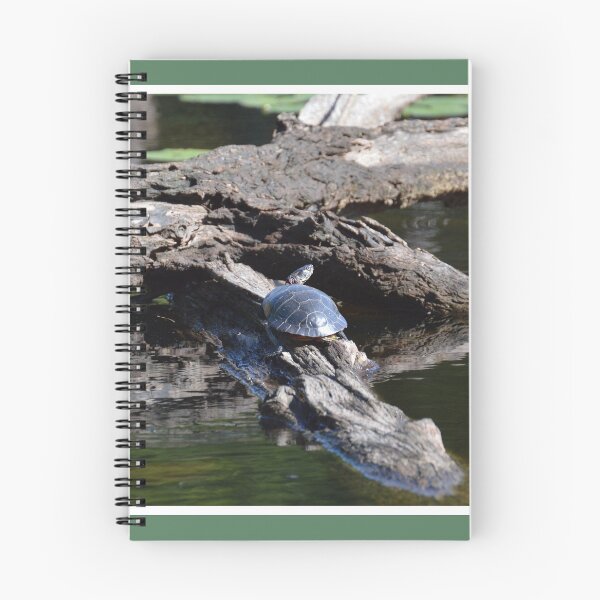 Item preview, Pefect Basking Log designed and sold by LizardSpirit.