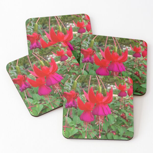 Item preview, Monterey Floral Study 8  designed and sold by Robert Meyers-Lussier.