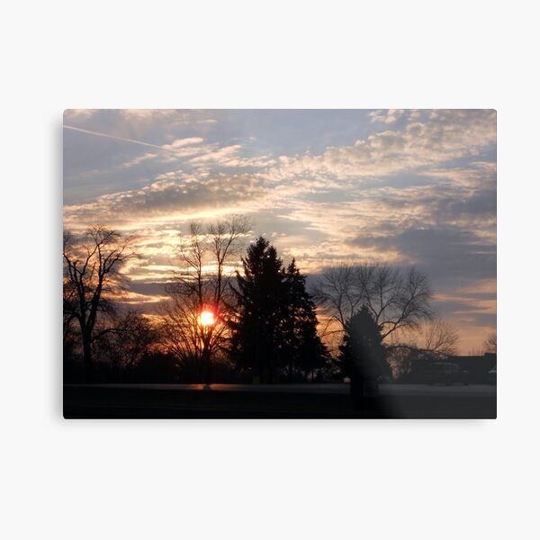 Sunset in the Suburbs Metal Print