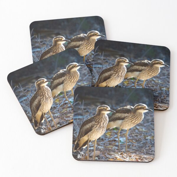 Item preview, Bush Stone Curlews  designed and sold by MargsNaturePix.