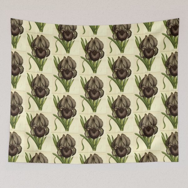 Item preview, Black Iris designed and sold by BlueSpecsStudio.