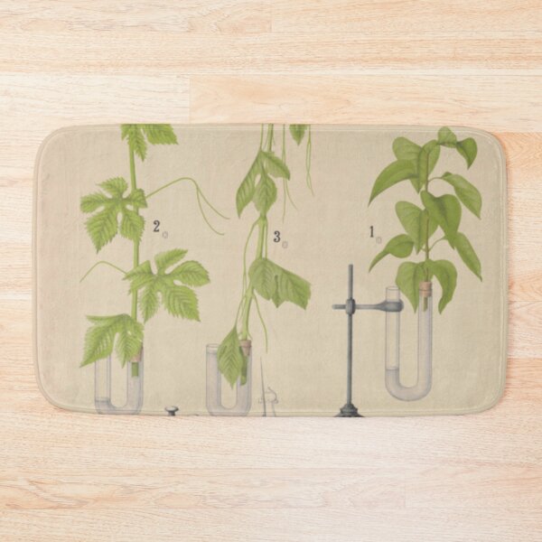 Item preview, Antique Botany designed and sold by BlueSpecsStudio.