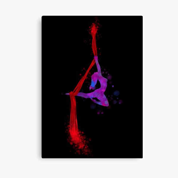 Aerial Silk Wall Art for Sale