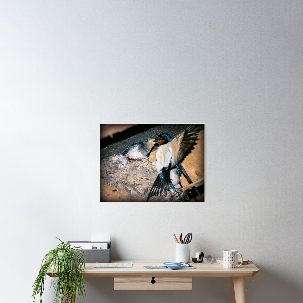 Item preview, Poster designed and sold by ScenicViewPics.