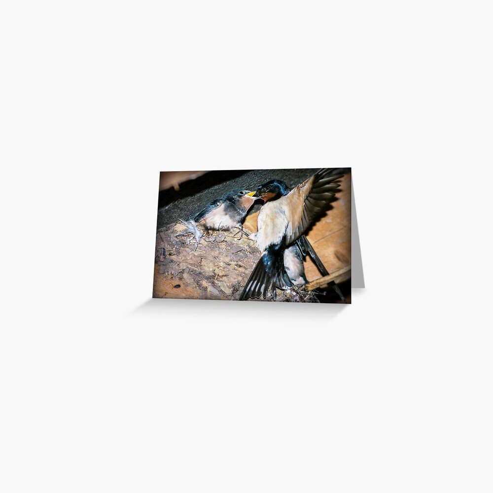 Item preview, Greeting Card designed and sold by ScenicViewPics.
