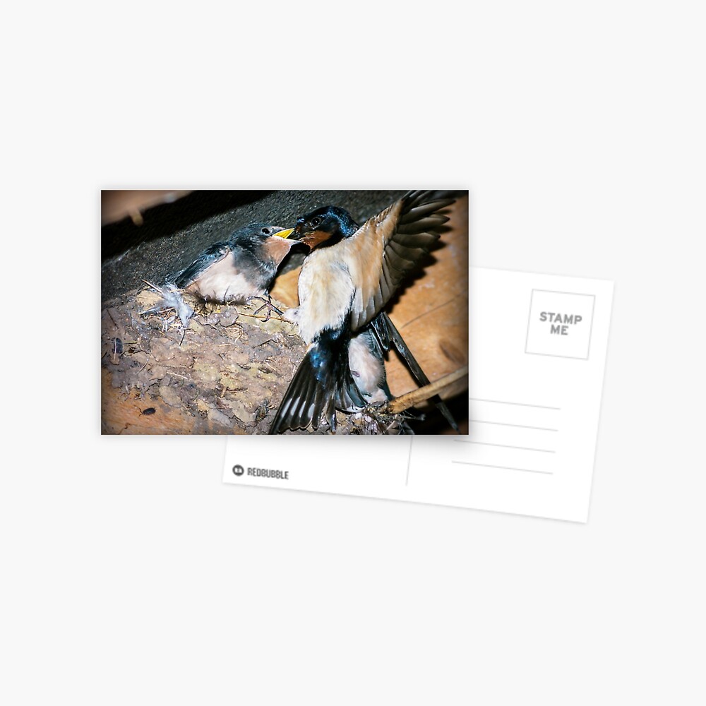 Item preview, Postcard designed and sold by ScenicViewPics.