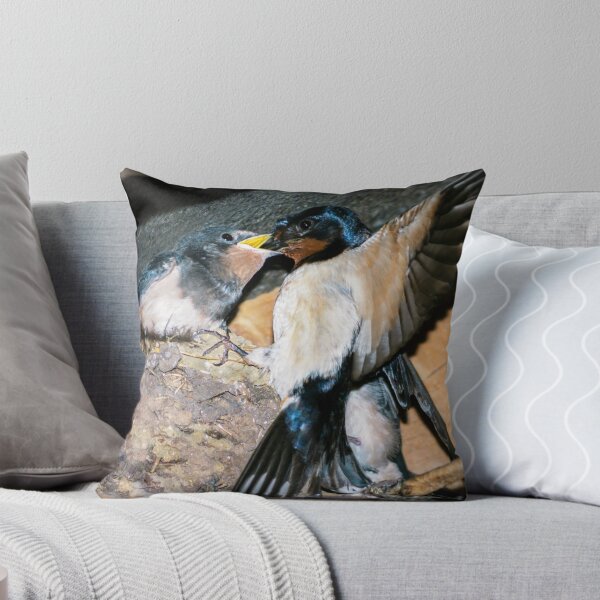Item preview, Swallow feeds chick. designed and sold by ScenicViewPics.