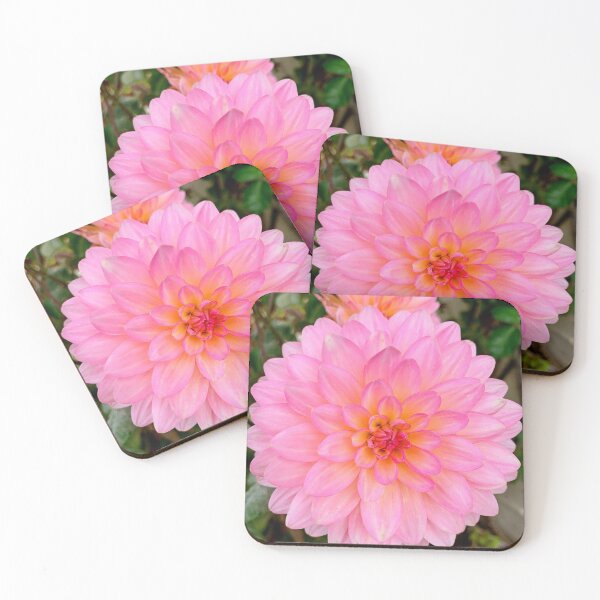 Item preview, Monterey Floral Study 9  designed and sold by Robert Meyers-Lussier.