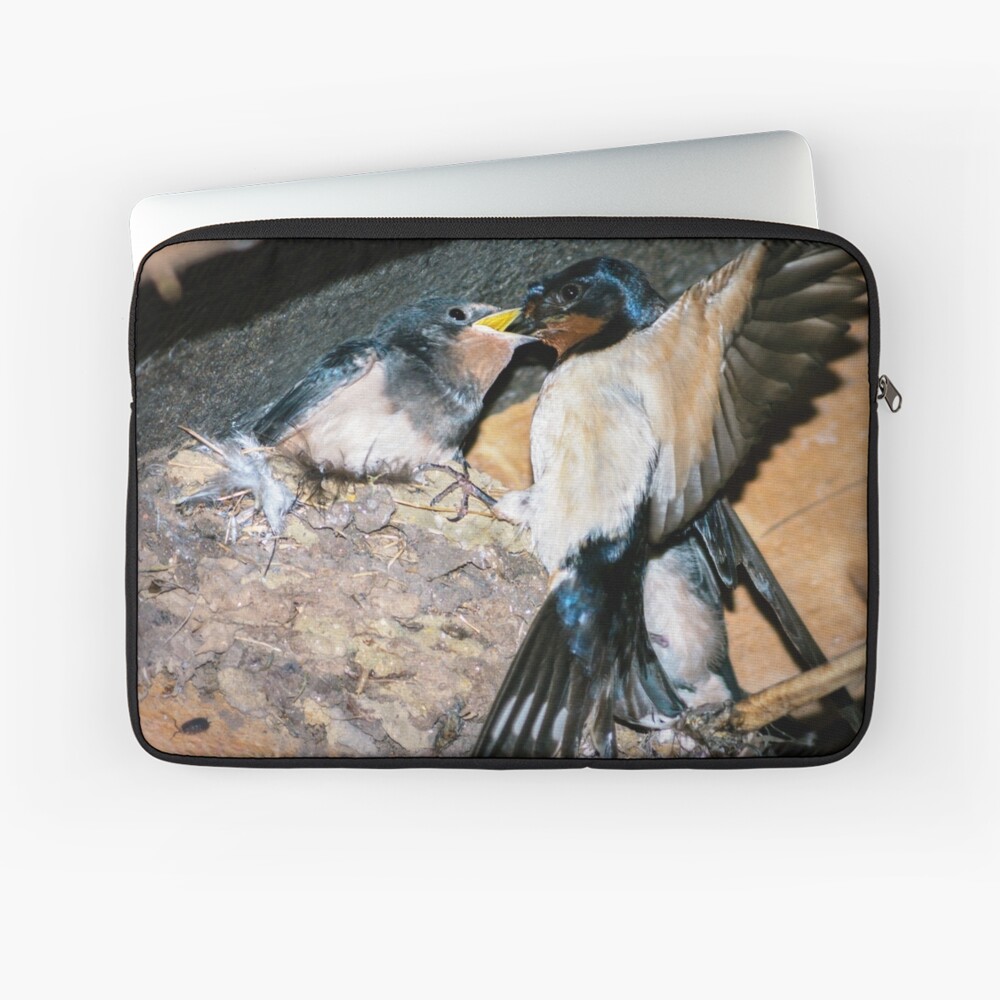Item preview, Laptop Sleeve designed and sold by ScenicViewPics.