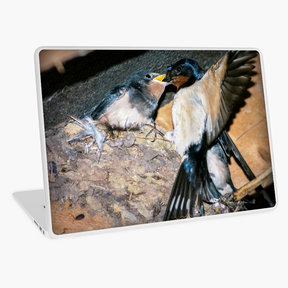 Item preview, Laptop Skin designed and sold by ScenicViewPics.