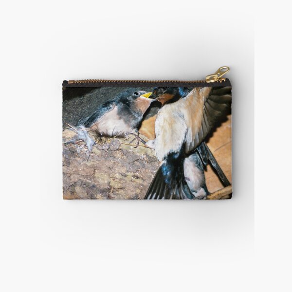 Item preview, Swallow feeds chick. designed and sold by ScenicViewPics.