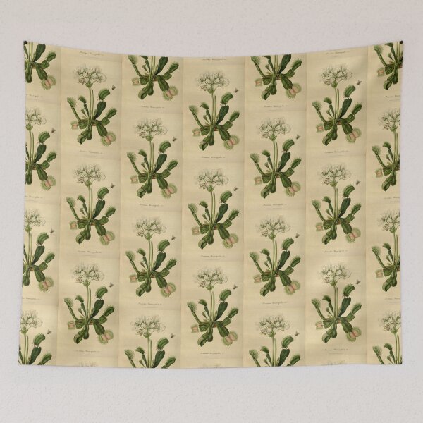 Item preview, Venus Fly Trap designed and sold by BlueSpecsStudio.