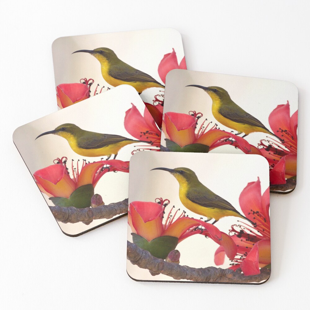 Item preview, Coasters (Set of 4) designed and sold by MargsNaturePix.