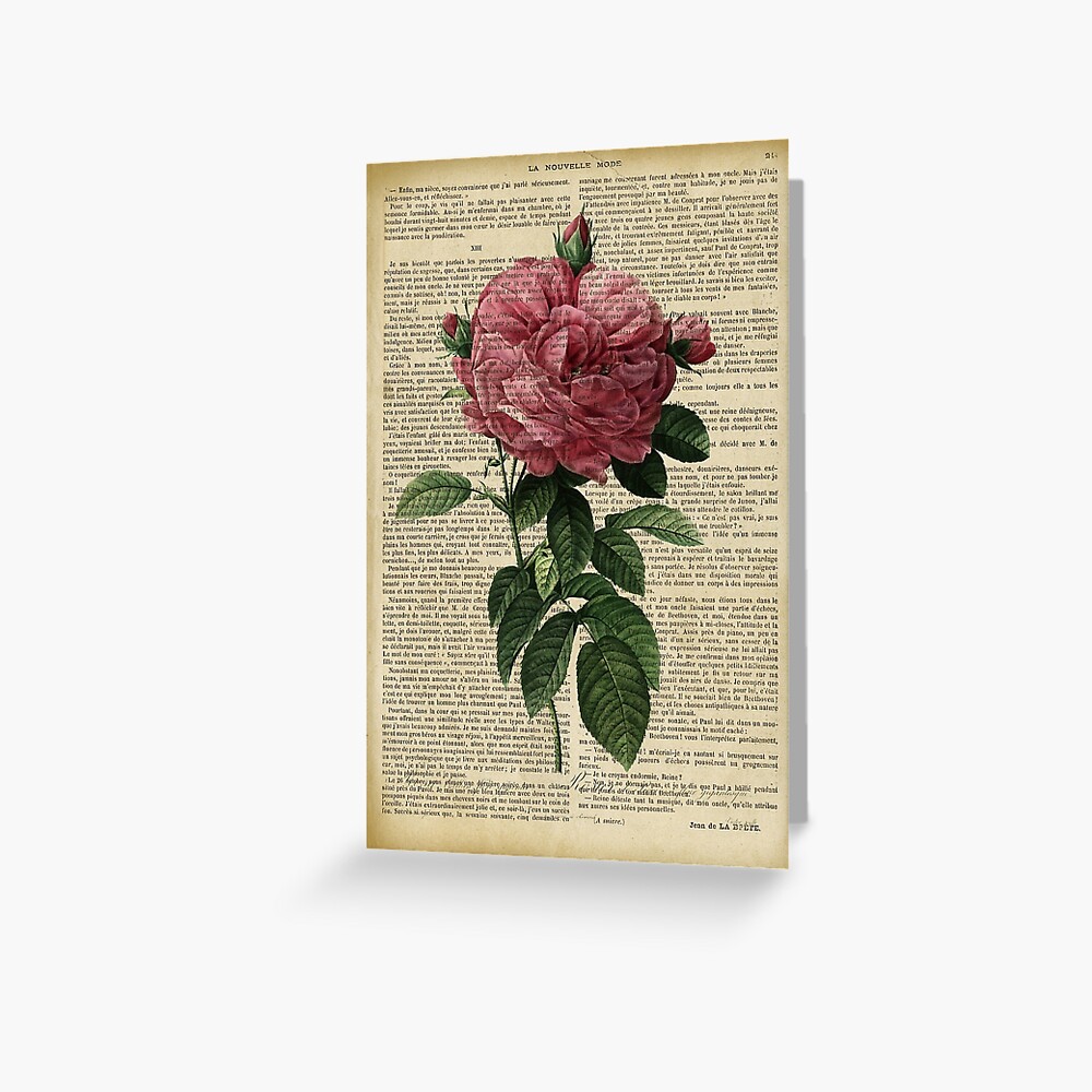 Botanical print, on old book page - Dusty pink Roses