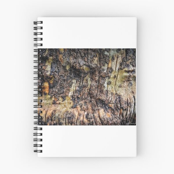 Aperçu de l'œuvre Tree Bark créée et vendue par Smoothstones.