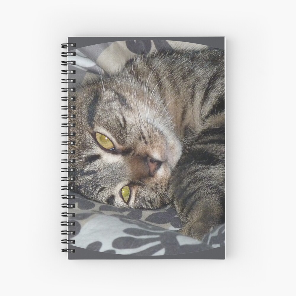 Item preview, Spiral Notebook designed and sold by martinb1962.